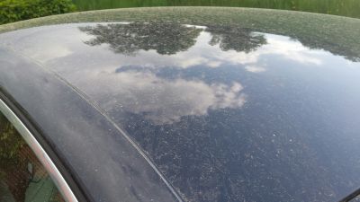 Pollen auf Auto